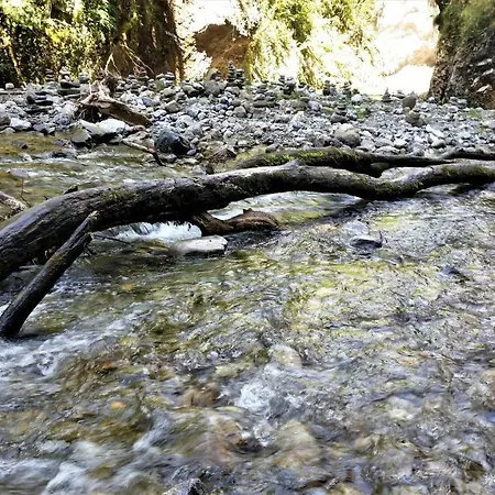 Le Des Mousquetaires