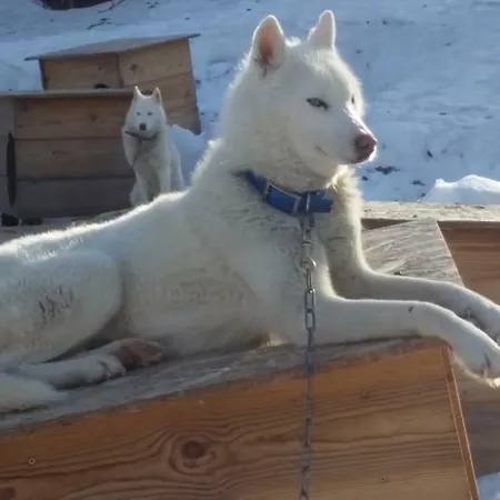 펜션 Le Des Mousquetaires *